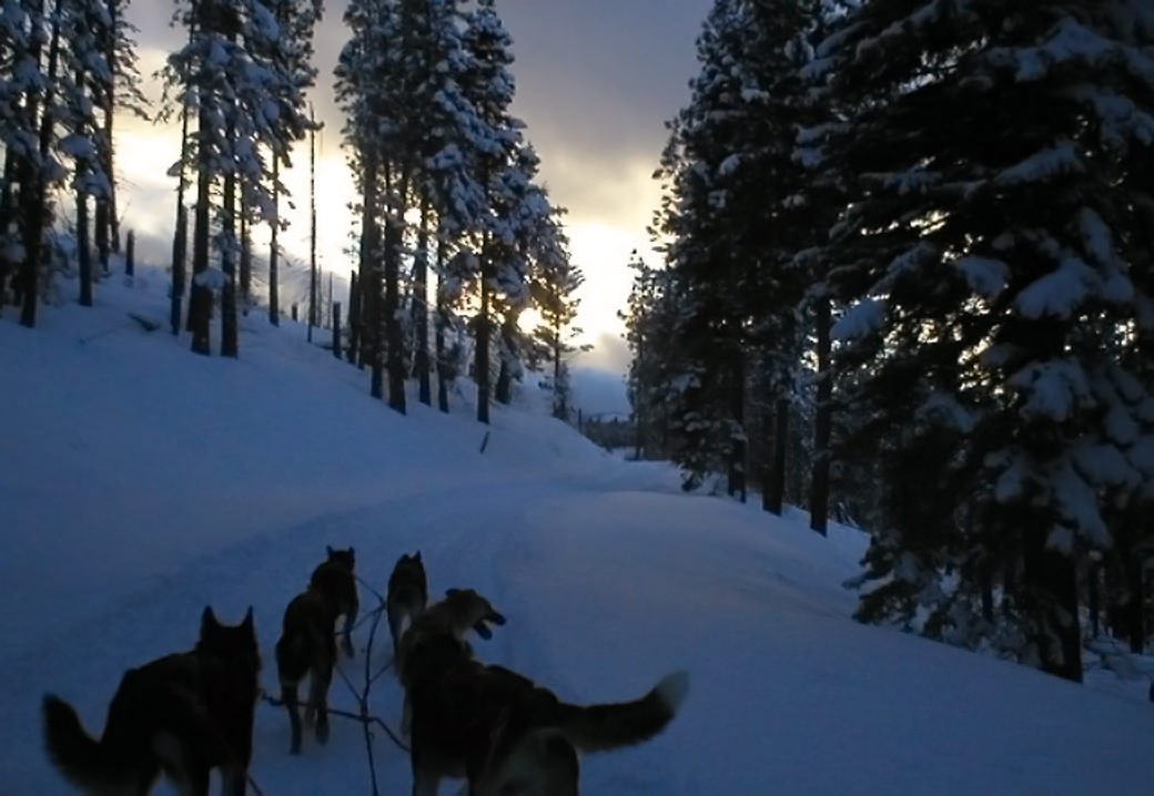 Sledding at night