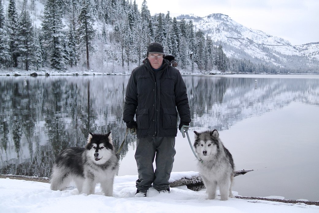 walking the old malamutes